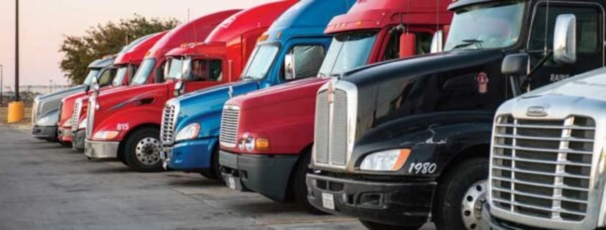 Fleet of variety of colors of trucks in lot